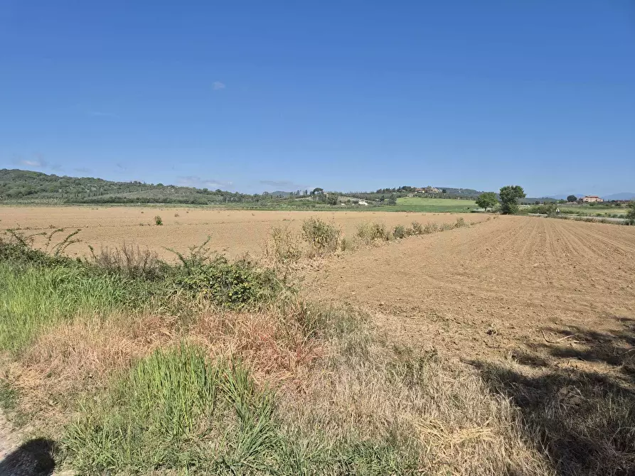 Immagine 11 di Terreno agricolo in vendita  in loc. Badia Vecchia a Castiglione Della Pescaia
