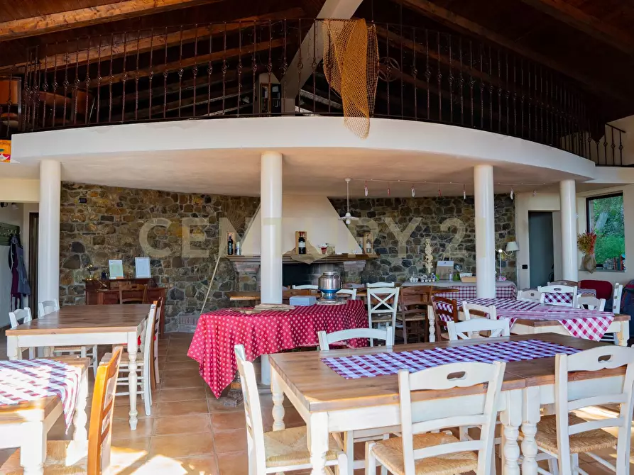 Immagine 59 di Rustico / casale in vendita  a Cinigiano