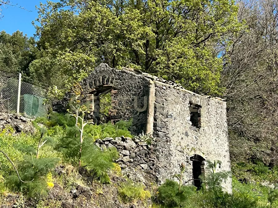 Immagine 2 di Terreno agricolo in vendita  in CONTRADA VIGNE a Biancavilla