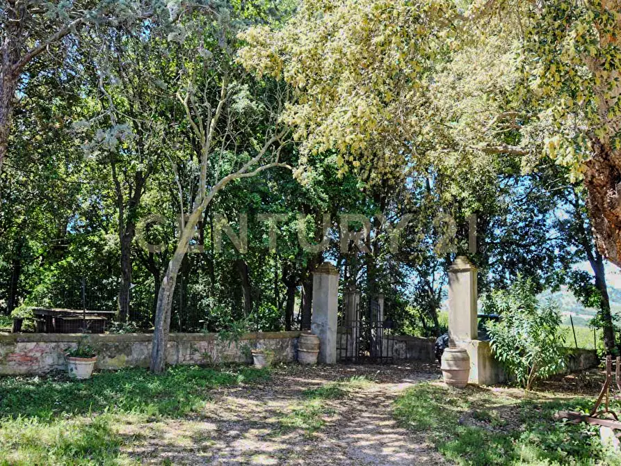 Immagine 14 di Rustico / casale in vendita  in Località Preselle sp 159 a Scansano