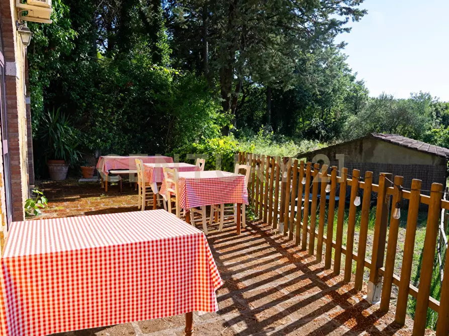 Immagine 60 di Rustico / casale in vendita  a Cinigiano