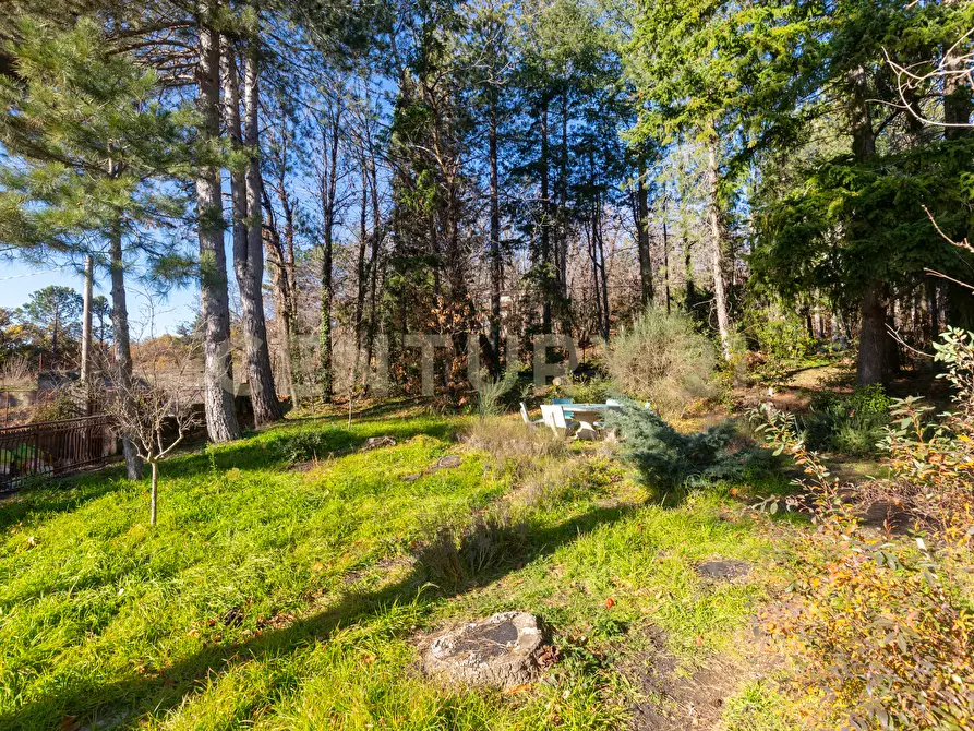 Immagine 6 di Villa in vendita  in Via della Regione 70 a Pedara