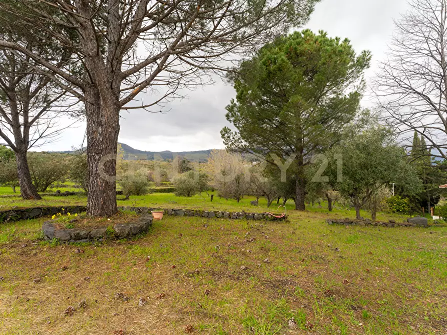 Immagine 43 di Casa indipendente in vendita  in Via Armando Diaz 83 a Zafferana Etnea