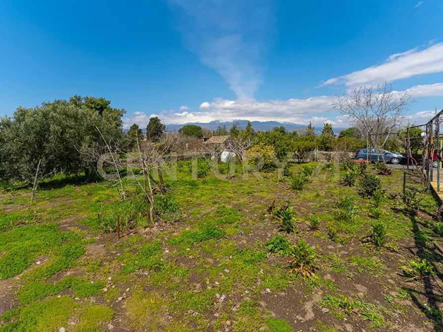 Immagine 11 di Villa in vendita  in Via Ramondetta 47 a Aci Sant'antonio