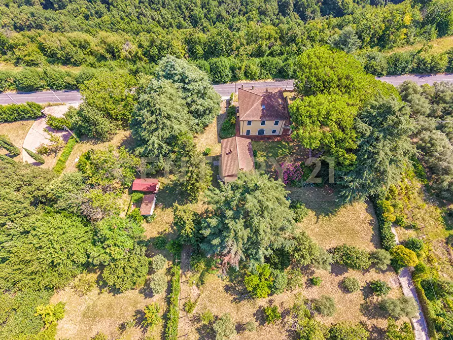 Immagine 80 di Villa in vendita  in Via Pedemontana 319 a Palestrina
