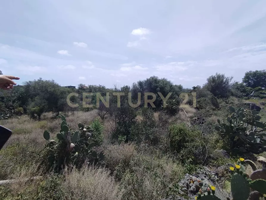 Immagine 9 di Terreno agricolo in vendita  in CONTRADA MANGIONE snc a Catania