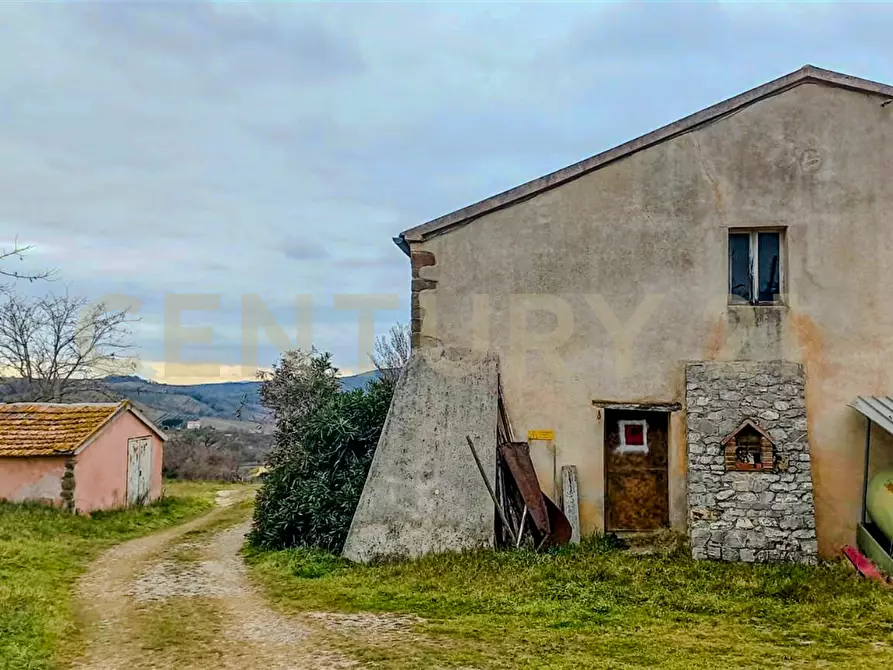 Immagine 27 di Rustico / casale in vendita  in località mandorlaie a Scansano