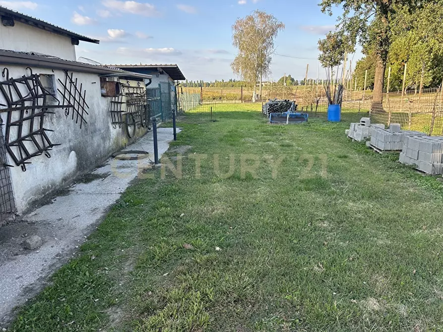 Immagine 48 di Rustico / casale in vendita  in Via Trento 70 a Minerbe