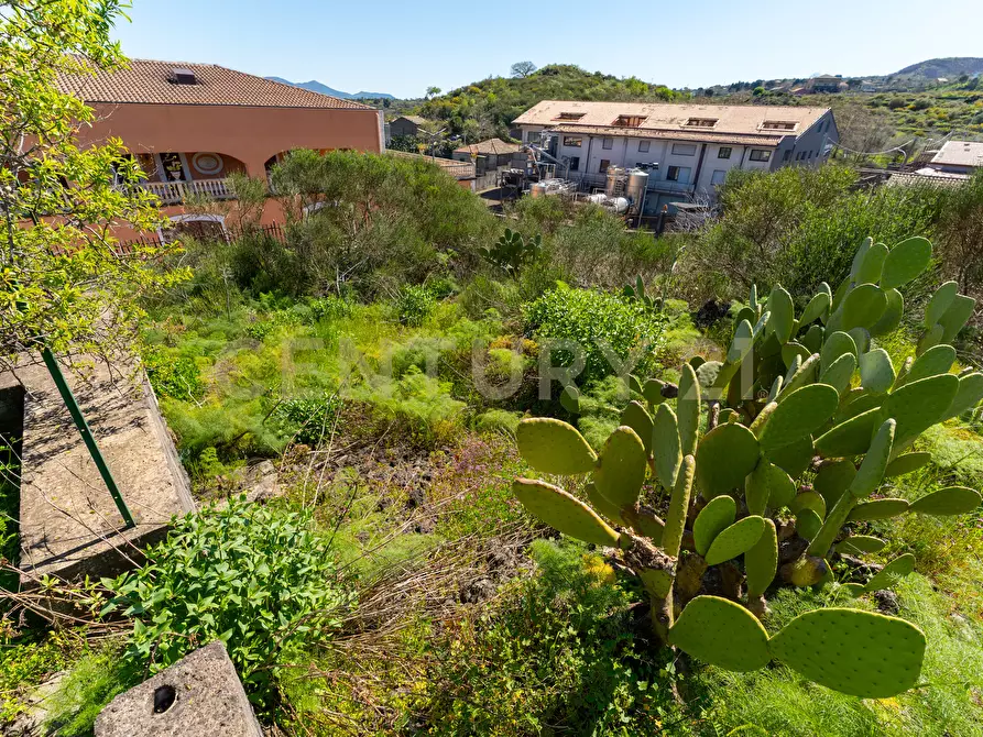 Immagine 11 di Casa indipendente in vendita  in Via Panebianco 20 a Castiglione Di Sicilia
