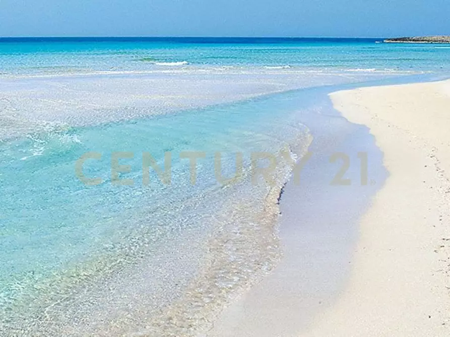 Immagine 55 di Villa in vendita  in la dialma a Ostuni