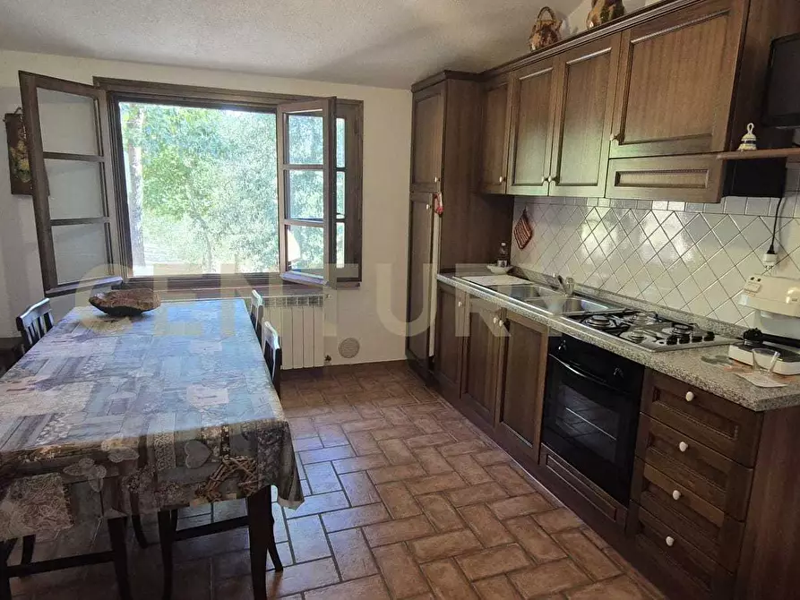 Immagine 12 di Azienda agricola in vendita  in località poggio al capraio snc a Roccastrada