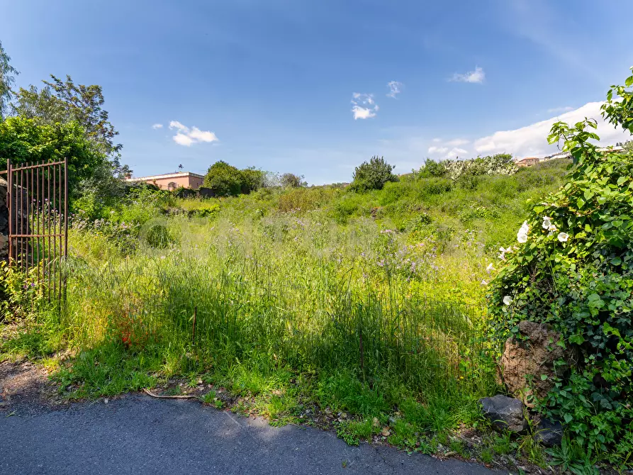 Immagine 23 di Villa in vendita  in Via Nino Martoglio S.N. a Aci Castello