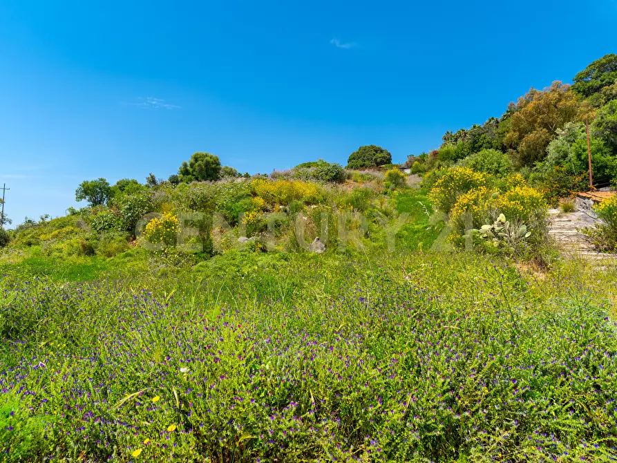 Immagine 12 di Terreno agricolo in vendita  in Via Vampolieri 14 a Aci Castello