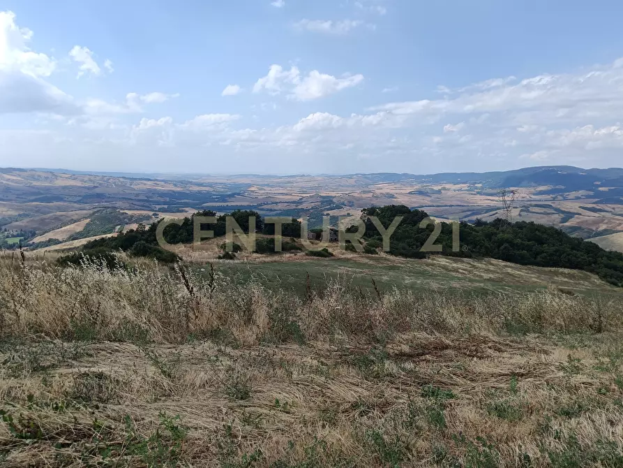 Immagine 7 di Terreno edificabile in vendita  in Località Podere Scarpetta 90 a Radicofani