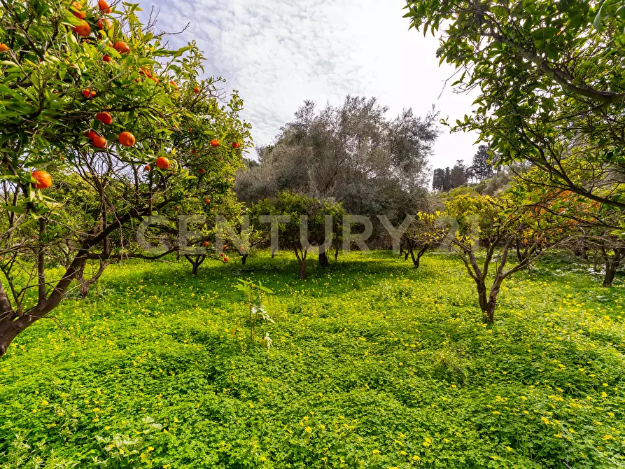 Immagine 29 di Terreno agricolo in vendita  in Contrada Vaccarizzo a Catania