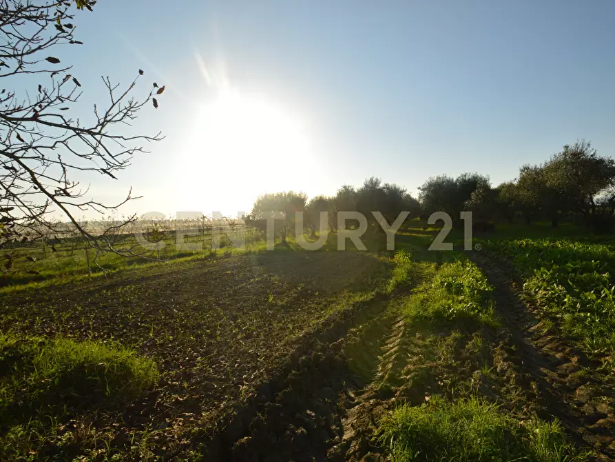 Immagine 1 di Terreno agricolo in vendita  in Strada del Querciolo 125 a Grosseto