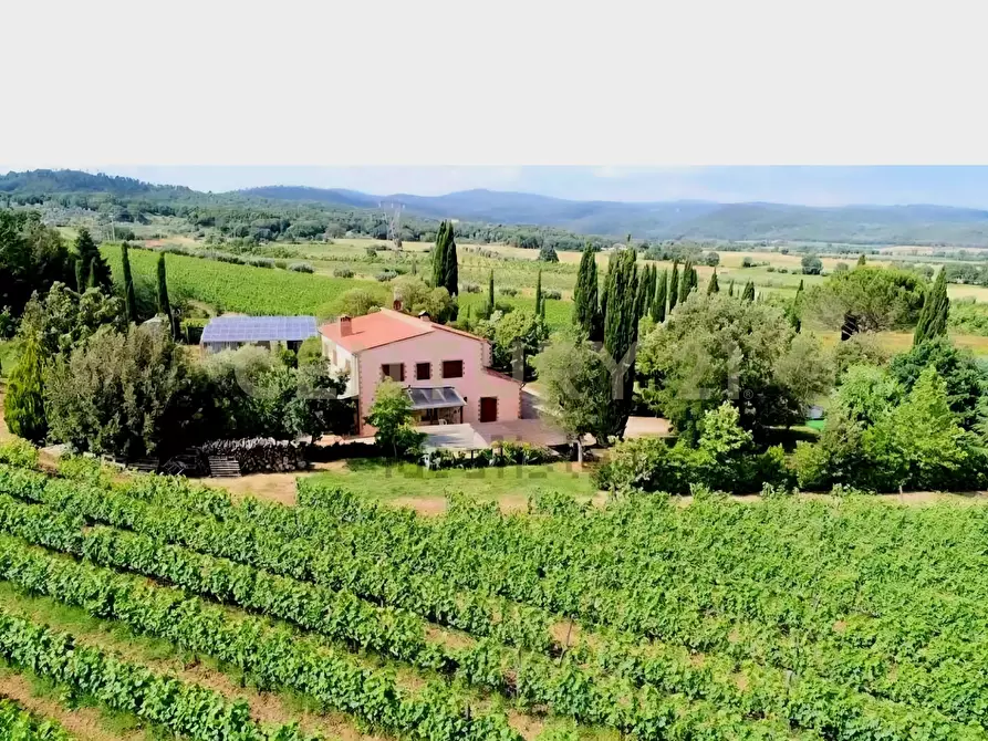 Immagine 1 di Rustico / casale in vendita  in località poggetto dell'orso snc a Roccastrada