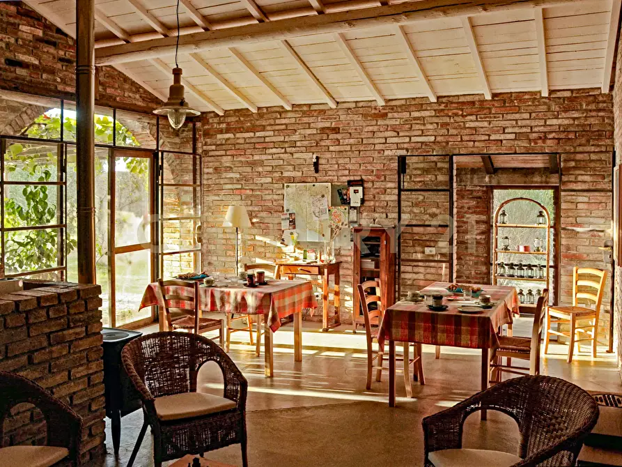 Immagine 24 di Rustico / casale in vendita  in località podere dogana a Roccastrada