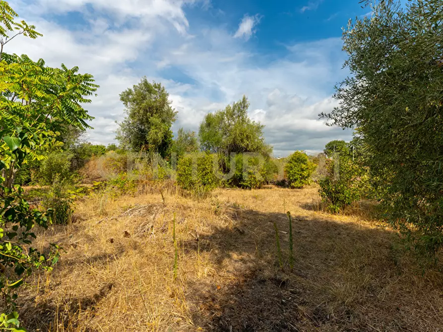 Immagine 18 di Villa in vendita  in Via Pulei 25 a Mascalucia