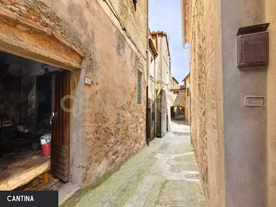 Immagine 11 di Appartamento in vendita  a Roccastrada