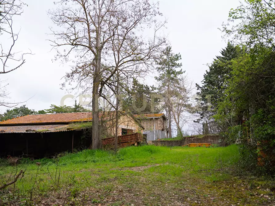 Immagine 38 di Rustico / casale in vendita  in sasso d'ombrone a Cinigiano