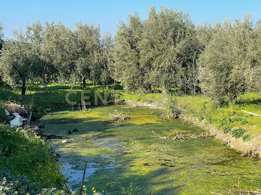 Immagine 41 di Terreno agricolo in vendita  in contrada agnelleria a Belpasso