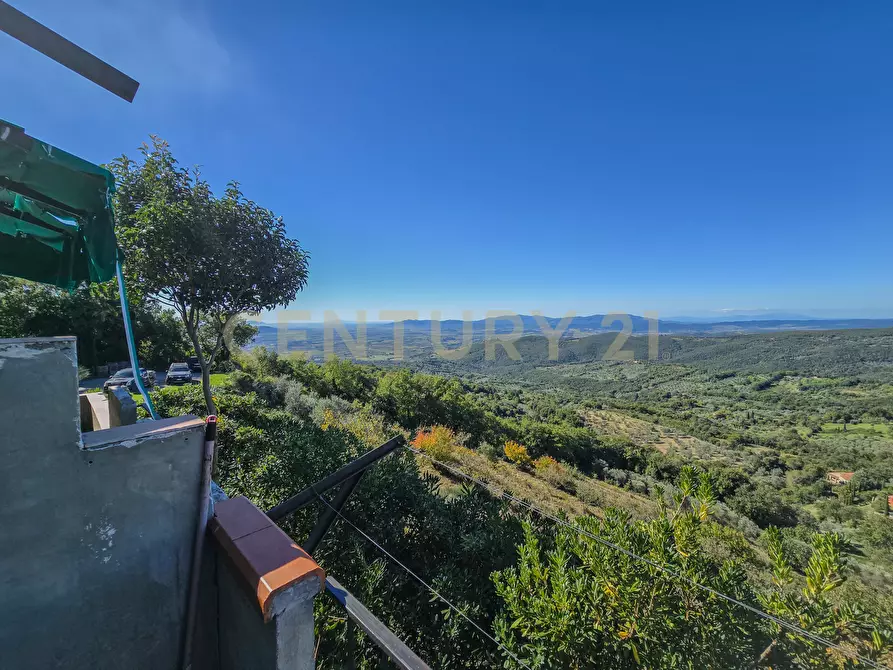 Immagine 35 di Villa in vendita  in località le coste a Roccastrada