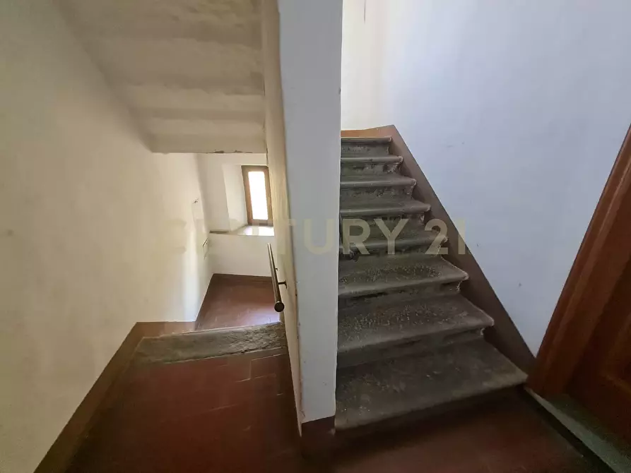 Immagine 14 di Pentalocale in vendita  in via Vittorio Emanuele III 3 a Scansano