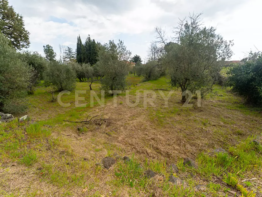 Immagine 47 di Casa indipendente in vendita  in Via Armando Diaz 83 a Zafferana Etnea