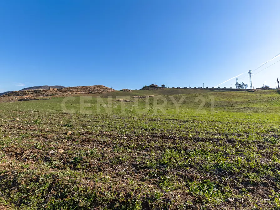 Immagine 4 di Villa in vendita  in Strada Provinciale 23b a Centuripe