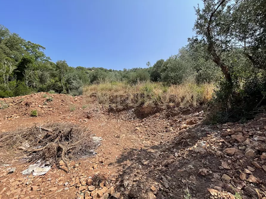 Immagine 2 di Rustico / casale in vendita  in località cannatelli snc a Monte Argentario