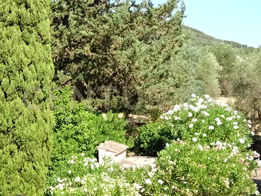 Immagine 27 di Rustico / casale in vendita  in Località Podere di Mezzo 16 16 a Gavorrano