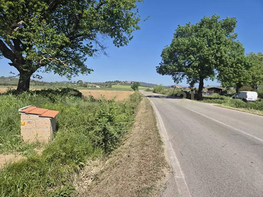 Immagine 14 di Terreno agricolo in vendita  in loc. Badia Vecchia a Castiglione Della Pescaia