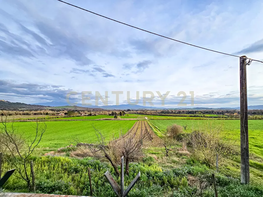 Immagine 20 di Terratetto in vendita  in Strada Interpoderale delle Baracche 5 a Civitella Paganico