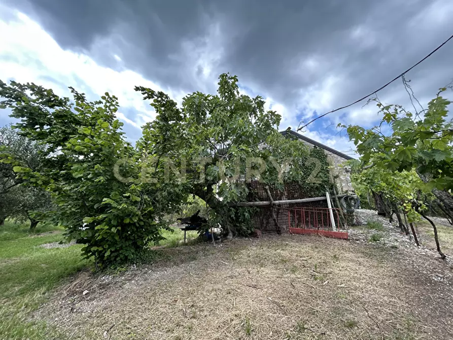 Immagine 20 di Rustico / casale in vendita  in Via Postuman a Mezzane Di Sotto