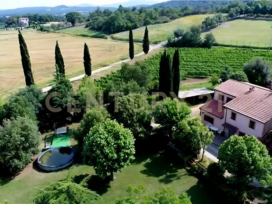 Immagine 5 di Rustico / casale in vendita  in località poggetto dell'orso snc a Roccastrada
