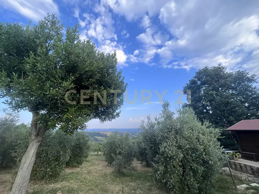Immagine 26 di Rustico / casale in vendita  in Località Poggio Murella 280 a Manciano