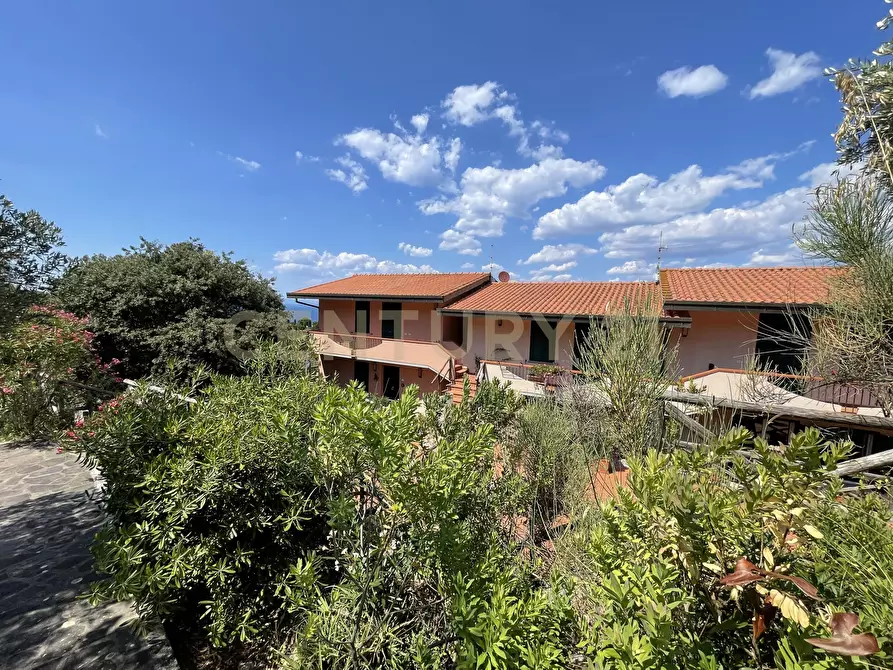 Immagine 43 di Trilocale in vendita  in Via della cacciarella a Monte Argentario