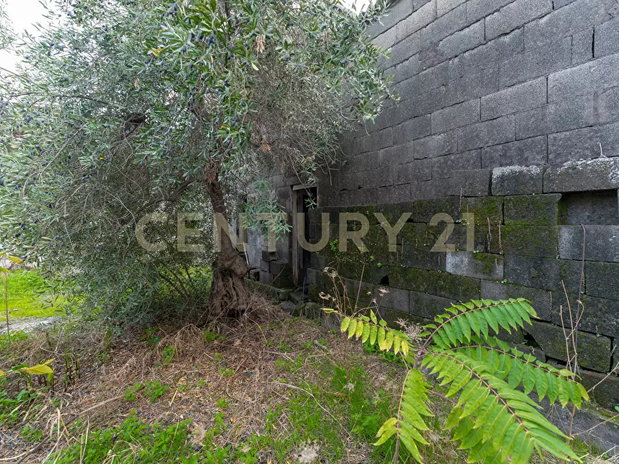 Immagine 43 di Casa indipendente in vendita  in Via Brigadiere Salvatore di Stefano 8 a Catania