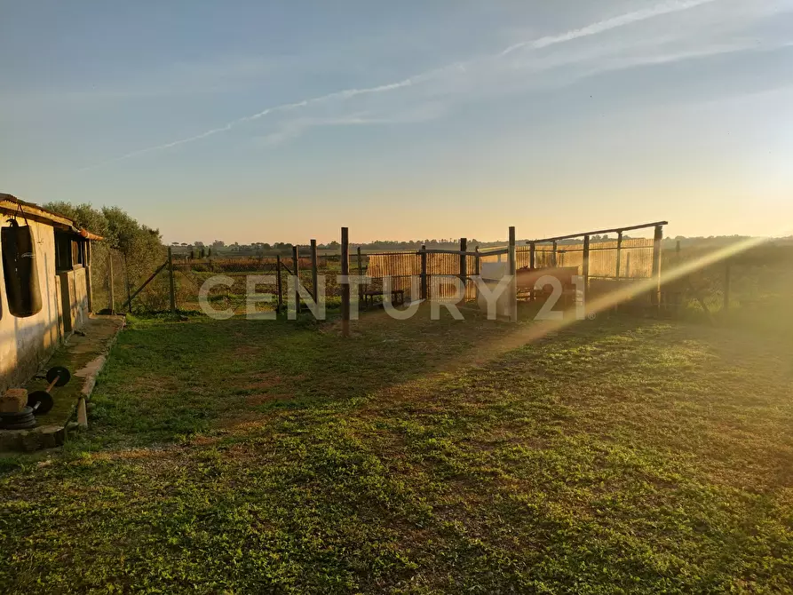 Immagine 10 di Rustico / casale in vendita  in Strada Pedemontana a Capalbio