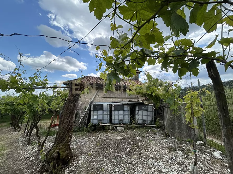 Immagine 16 di Rustico / casale in vendita  in Via Postuman a Mezzane Di Sotto