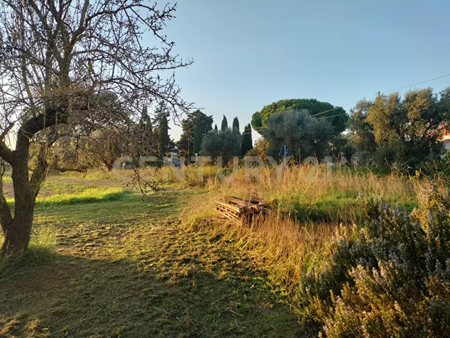 Immagine 12 di Rustico / casale in vendita  in Strada Pedemontana a Capalbio