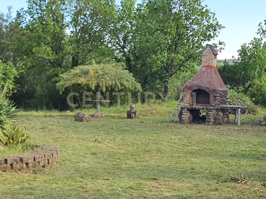Immagine 6 di Rustico / casale in vendita  in agriturismo lampugnano 47 a Civitella Paganico