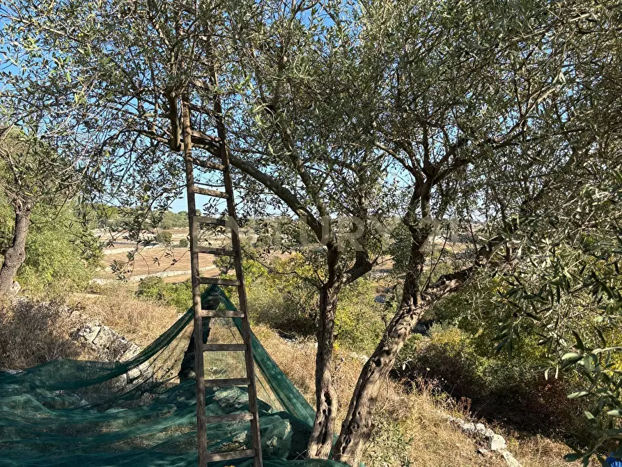 Immagine 32 di Rustico / casale in vendita  in strada provinciale 104 a Modica