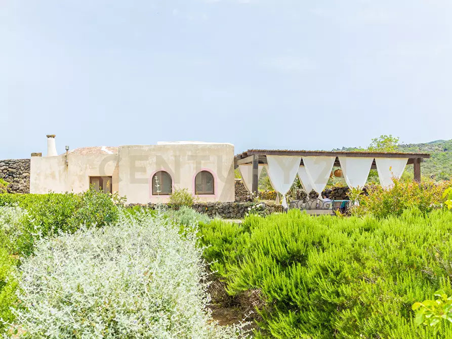 Immagine 33 di Casa indipendente in vendita  in 91017 Pantelleria TP a Pantelleria