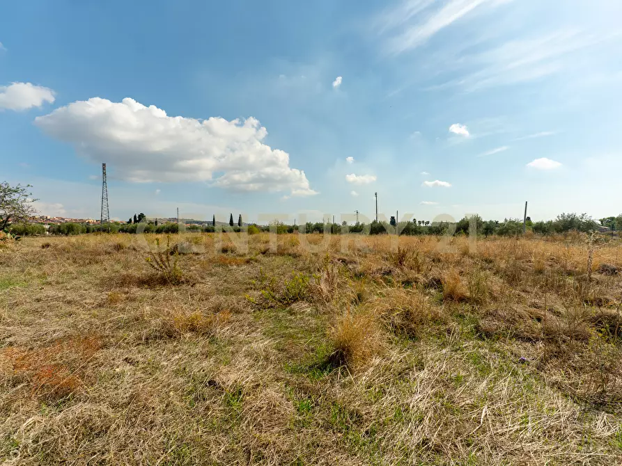 Immagine 16 di Terreno agricolo in vendita  in Via Margarone 5 a Motta Sant'anastasia