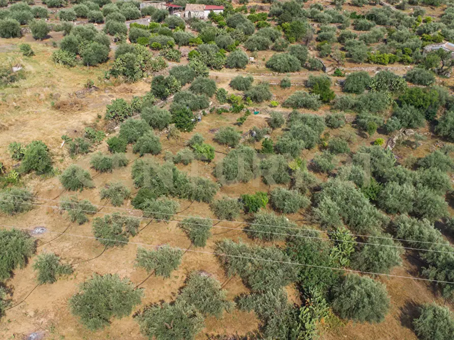 Immagine 8 di Terreno agricolo in vendita  in Via San Leo a Adrano
