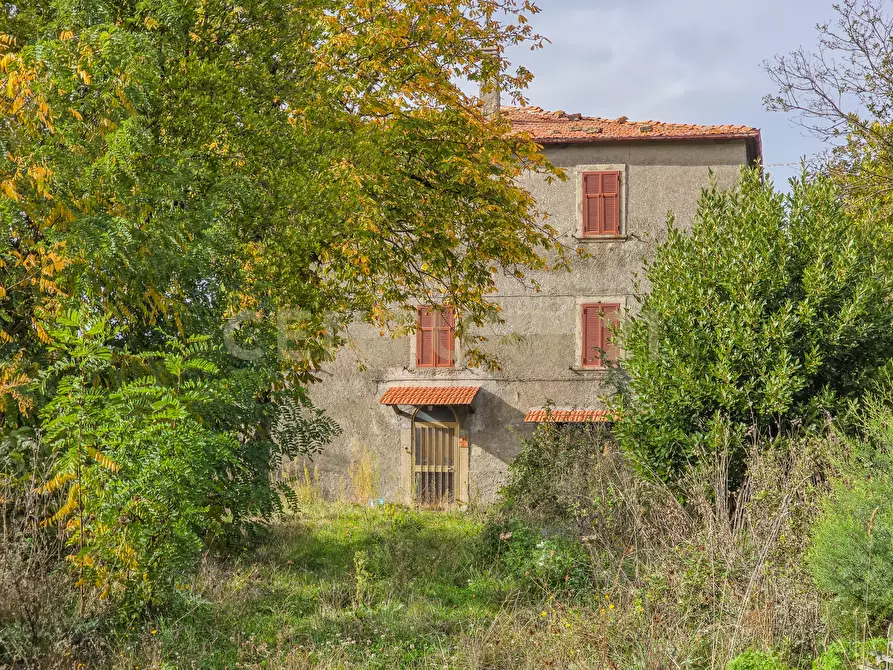 Immagine 1 di Rustico / casale in vendita  in la serra 57 a Arcidosso