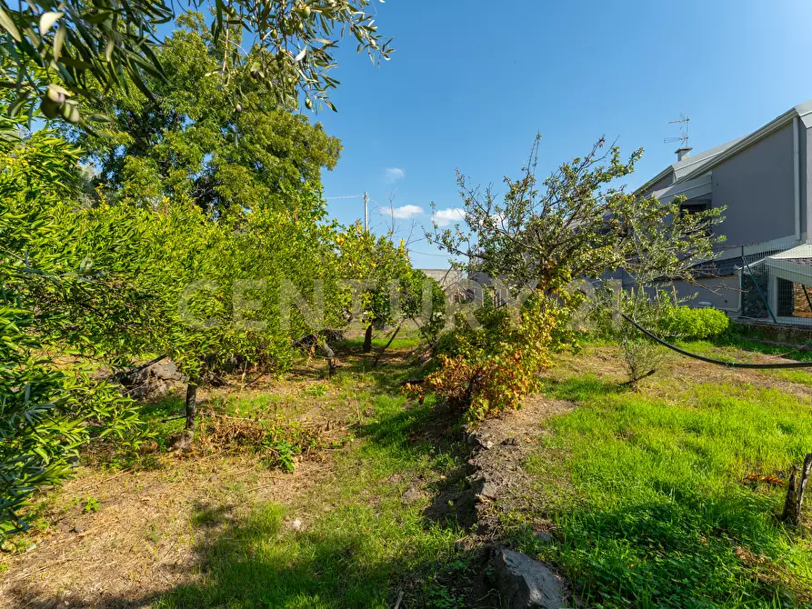 Immagine 15 di Villa in vendita  in Via di Bartolo a San Gregorio Di Catania