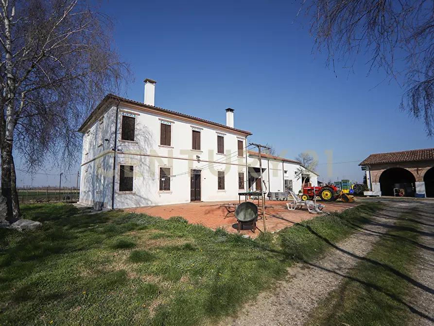 Immagine 1 di Rustico / casale in vendita  in Via Trento 70 a Minerbe